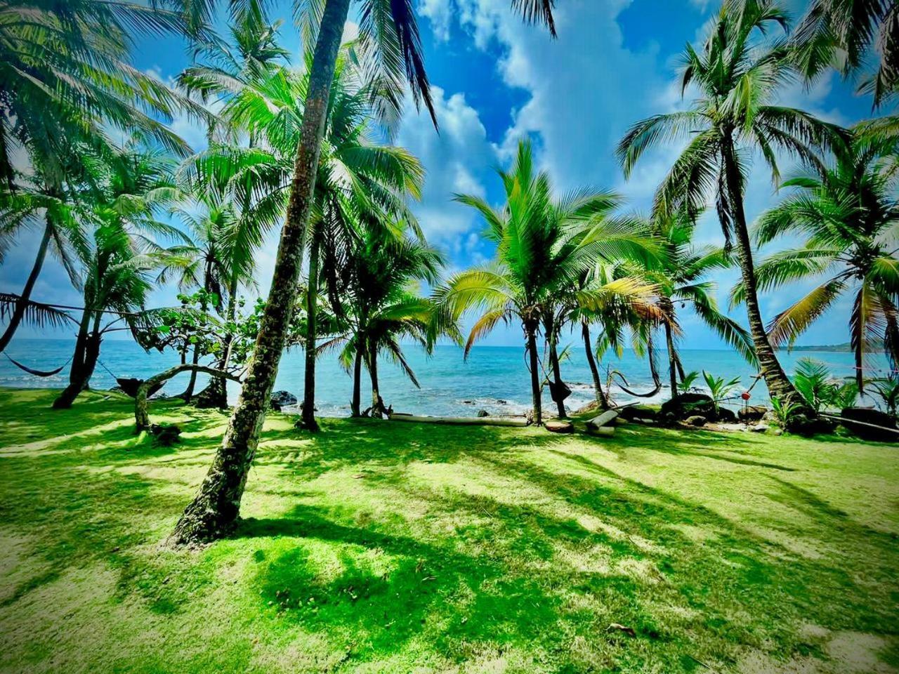 Guesthouse Island Escape South End Exterior foto
