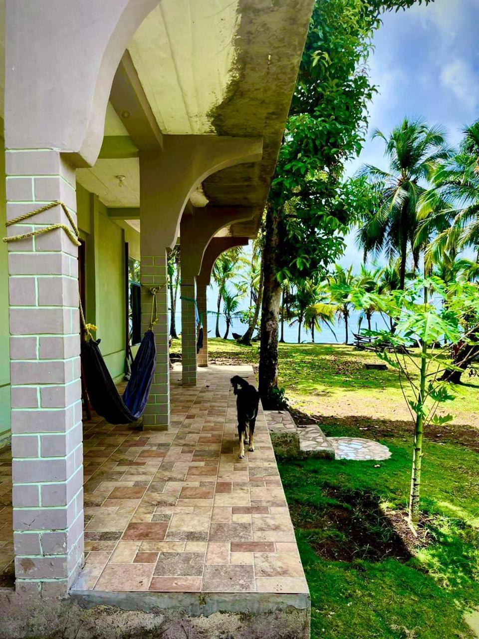 Guesthouse Island Escape South End Exterior foto